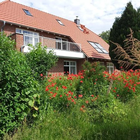 Haus Rosengarten- Ruhige Ferienwohnungen Im Gruenen Sehlen Exteriör bild