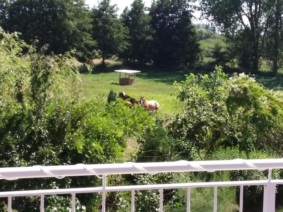 Haus Rosengarten- Ruhige Ferienwohnungen Im Gruenen Sehlen Exteriör bild