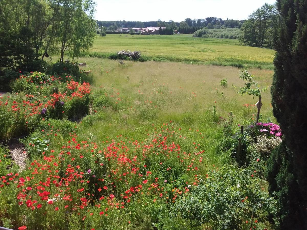 Haus Rosengarten- Ruhige Ferienwohnungen Im Gruenen Sehlen Exteriör bild