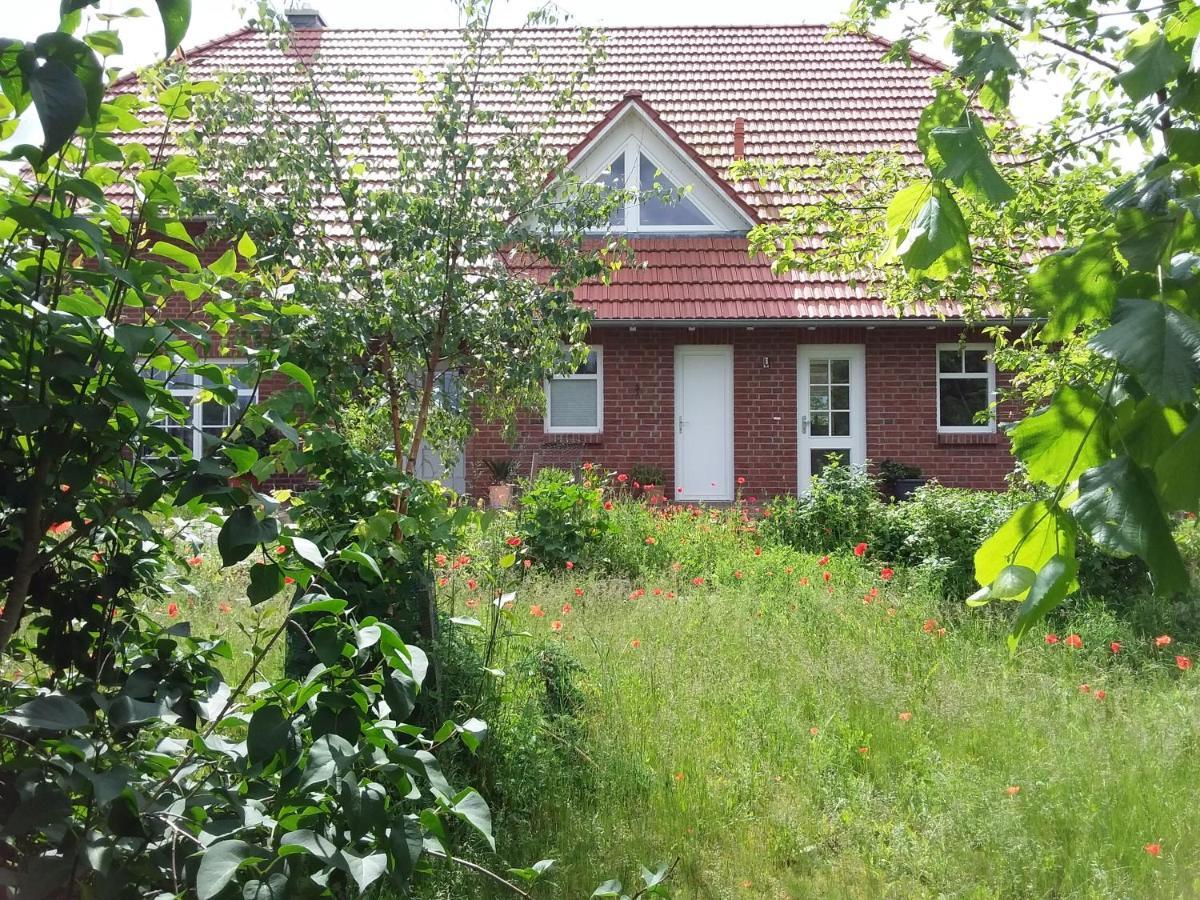 Haus Rosengarten- Ruhige Ferienwohnungen Im Gruenen Sehlen Exteriör bild