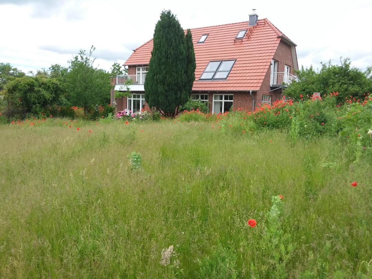 Haus Rosengarten- Ruhige Ferienwohnungen Im Gruenen Sehlen Exteriör bild